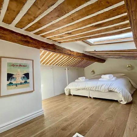 Apartment Magnifique + Terrasse Au Coeur D'aix